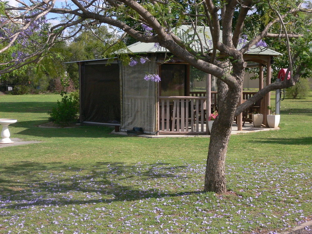 Chinchilla Motel מראה חיצוני תמונה